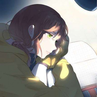 马来西亚“社牛”蜥蜴走红
